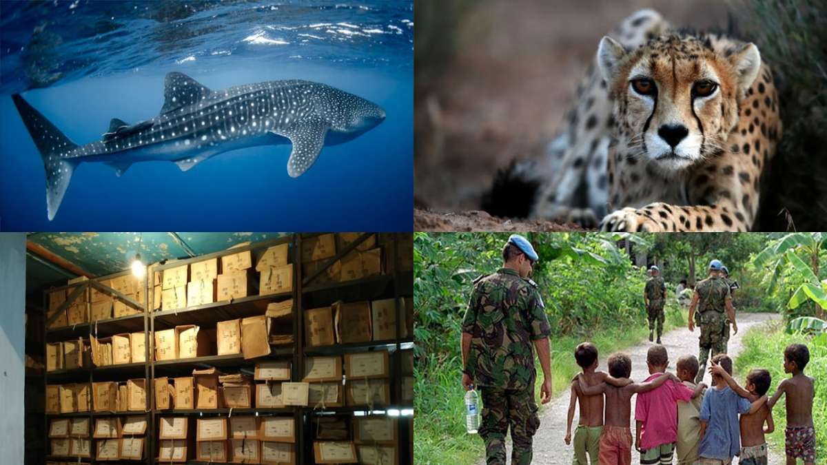 30. August 2024, 2025 Feiertage, Veranstaltungen und Traditionen