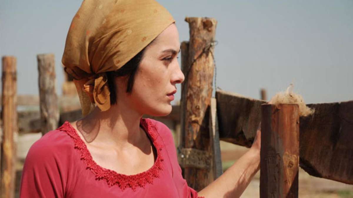 Entdecken Sie die faszinierende Welt des aserbaidschanischen Kinos am Aserbaidschanischen Kinotag.