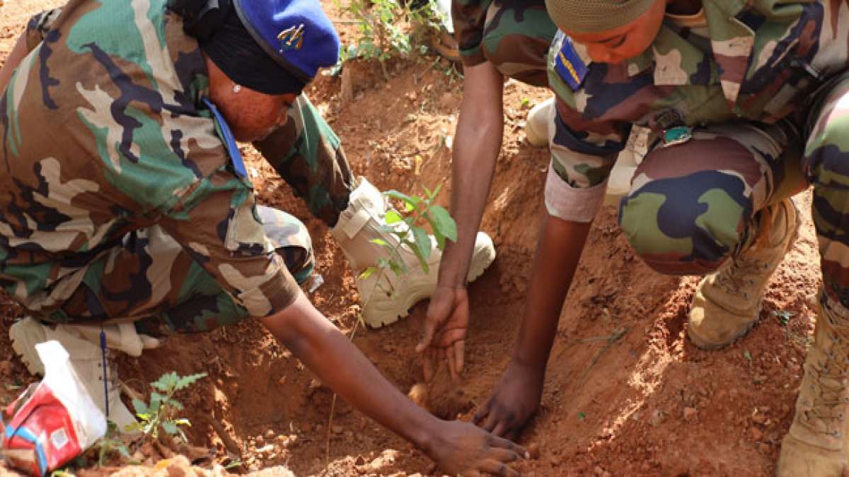 Erfahren Sie mehr über den Arbor Day in Niger, an dem jeder Nigerianer einen Baum pflanzt, um die Bekämpfung der Wüstenbildung zu unterstützen. Erfahren Sie mehr über den Arbor Day in Niger, an dem jeder Nigerianer einen Baum pflanzt, um die Bekämpfung der Wüstenbildung zu unterstützen.
