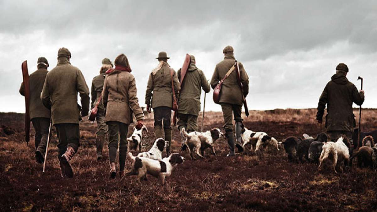 Der Glorreiche Zwölfte: Traditionelle Jagdsaison im Vereinigten Königreich. Der Glorreiche Zwölfte: Traditionelle Jagdsaison im Vereinigten Königreich.