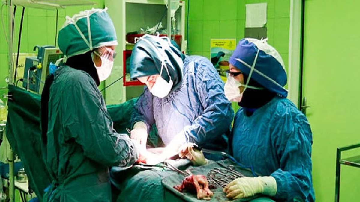 Der iranische Nationalfeiertag für Ärzte würdigt die gut ausgebildeten und erfahrenen medizinischen Fachkräfte des Landes, darunter Ärzte, Zahnärzte und Apotheker. Der iranische Nationalfeiertag für Ärzte würdigt die gut ausgebildeten und erfahrenen medizinischen Fachkräfte des Landes, darunter Ärzte, Zahnärzte und Apotheker.