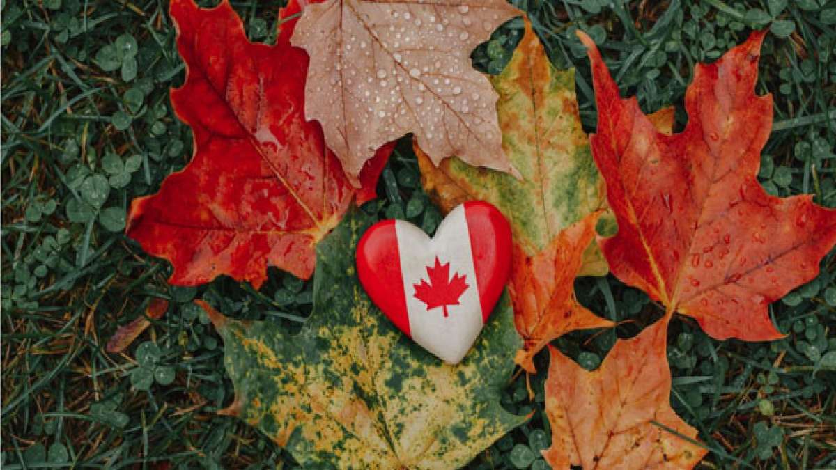 Feiern Sie den Ahornblatt-Tag in Kanada – ein Symbol für Stolz und Loyalität.