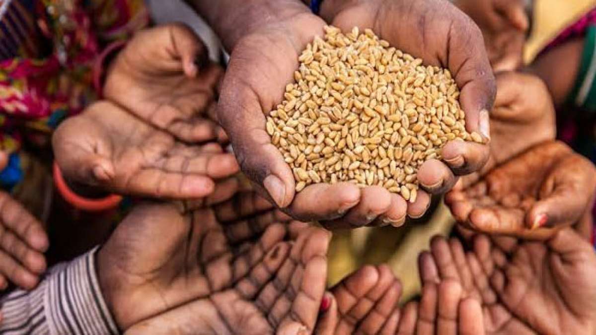 Feiern Sie den Tag der Freiheit von Hunger: Ein Aufruf zur Bekämpfung des weltweiten Hungers und zur Stärkung von Frauen weltweit.
