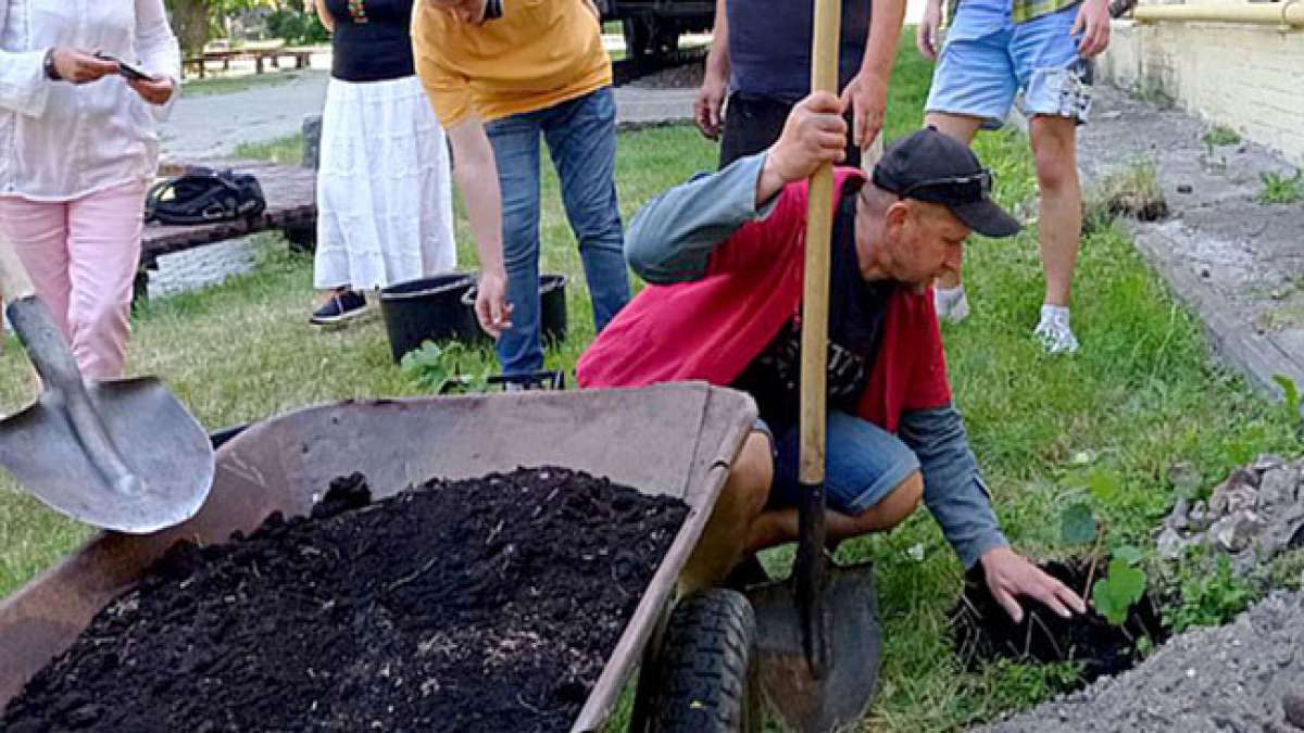 Feiern Sie den Tag des Baumes in Polen am 10. Oktober! Feiern Sie den Tag des Baumes in Polen am 10. Oktober!