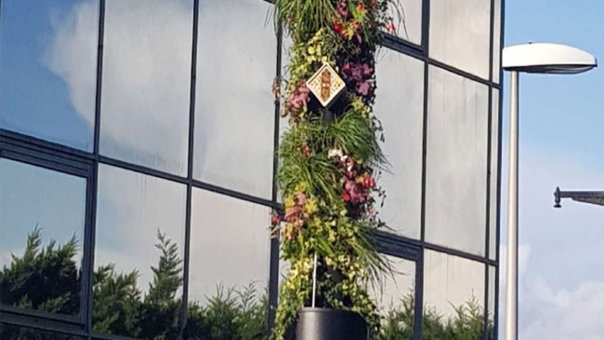 Erleben Sie die Tradition und Geschichte der Svetitskhoveli-Kathedrale in Georgien am Tag der Kathedrale der Lebenden Säule.