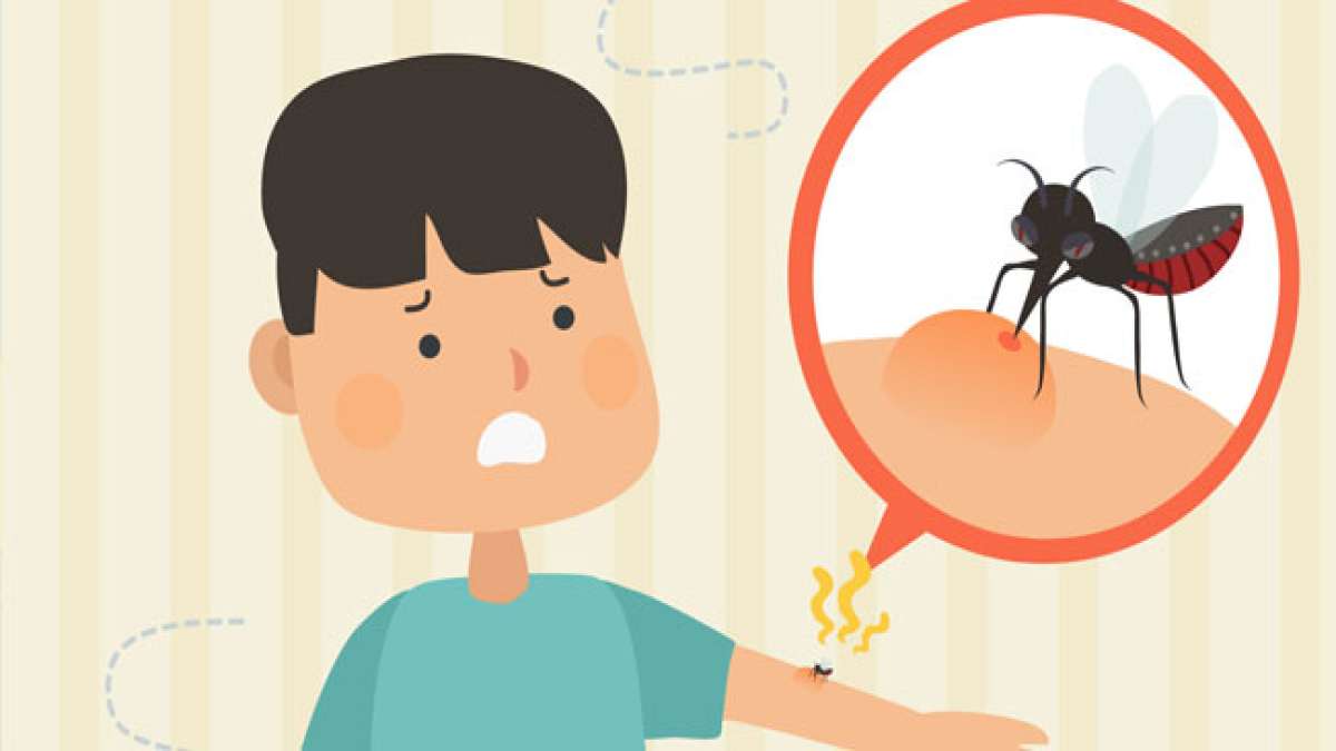 Kämpfen Sie mit uns gegen Malaria! Am amerikanischen Malariatag, dem 6. November, setzen wir ein Zeichen für die Prävention und Bekämpfung dieser Krankheit in Nord- und Südamerika. Kämpfen Sie mit uns gegen Malaria! Am amerikanischen Malariatag, dem 6. November, setzen wir ein Zeichen für die Prävention und Bekämpfung dieser Krankheit in Nord- und Südamerika.