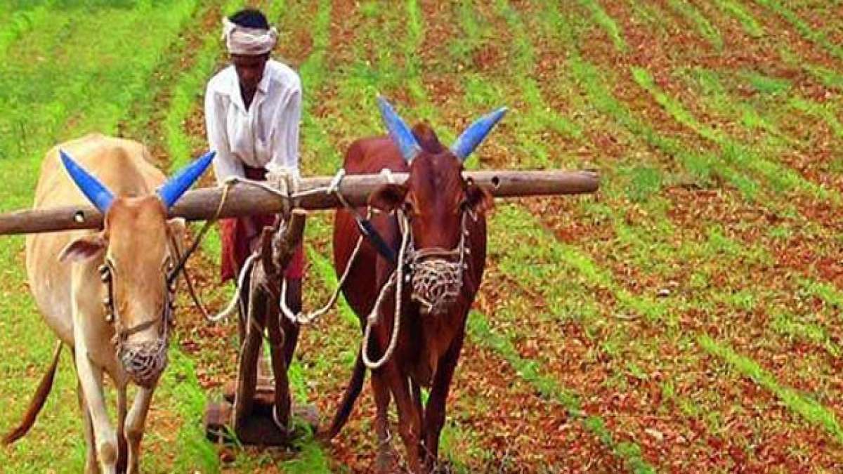 Feiern Sie den Nationalen Tag der Bauern, Kisan Diwas, am 23. Dezember, um den Geburtstag von Chaudhary Charan Singh, dem 'Meister der indischen Bauern' und ehemaligen Premierminister Indiens, zu ehren. Feiern Sie den Nationalen Tag der Bauern, Kisan Diwas, am 23. Dezember, um den Geburtstag von Chaudhary Charan Singh, dem 'Meister der indischen Bauern' und ehemaligen Premierminister Indiens, zu ehren.