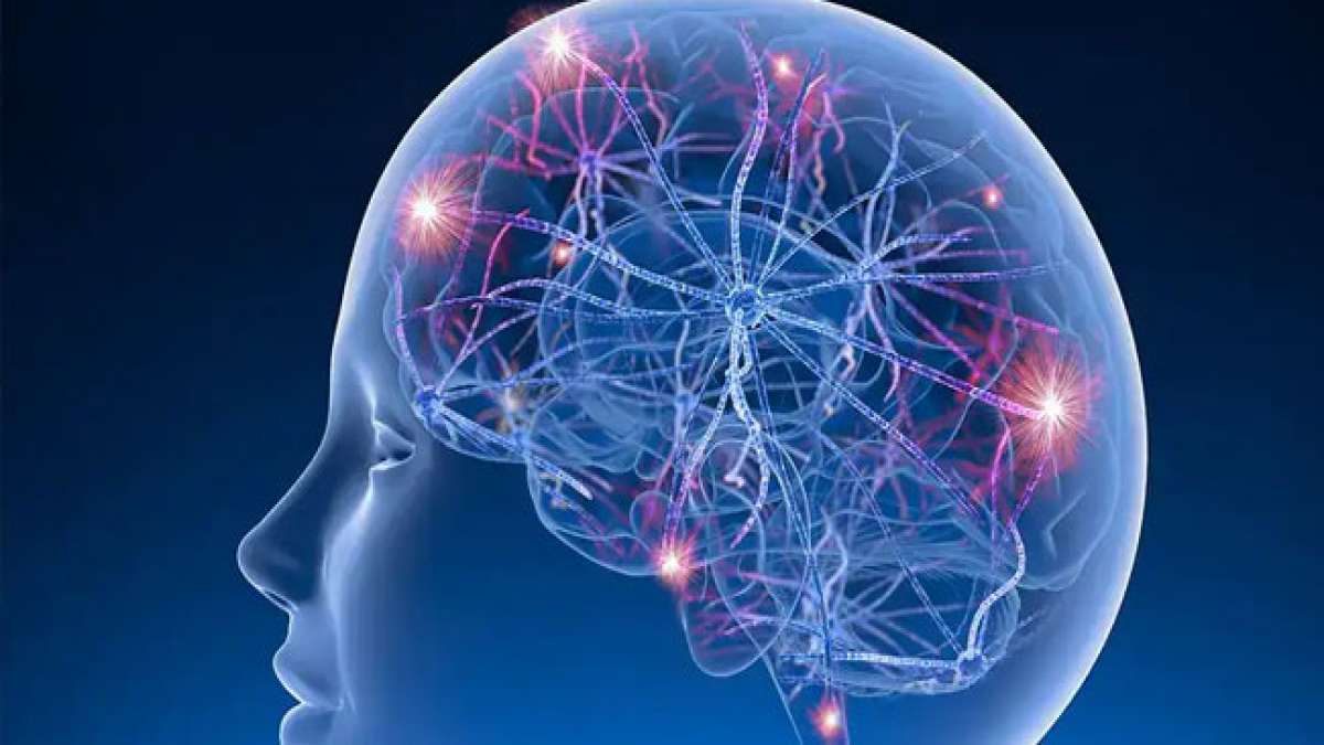 Am 14. Februar erstrahlt Polen nicht nur im Glanz des Valentinstags, sondern ehrt auch den 'Tag der Epilepsie', um das Bewusstsein für diese häufige Gehirnerkrankung zu schärfen. Am 14. Februar erstrahlt Polen nicht nur im Glanz des Valentinstags, sondern ehrt auch den 'Tag der Epilepsie', um das Bewusstsein für diese häufige Gehirnerkrankung zu schärfen.