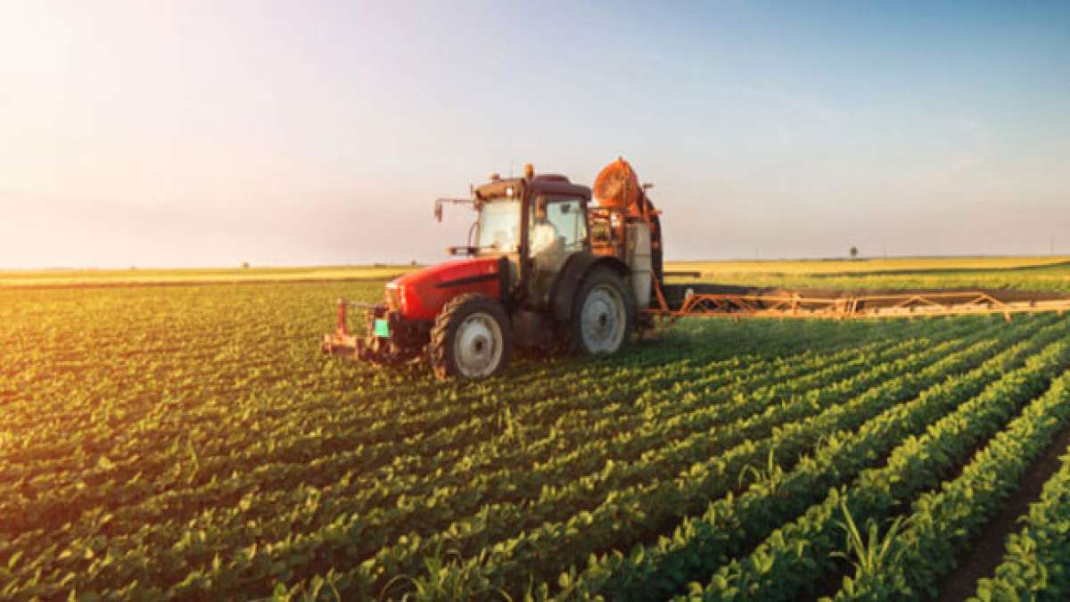 Entdecken Sie die Bedeutung der Landwirtschaft am Tag der Landwirtschaft in den USA, organisiert vom Agriculture Council of America (ACA). Entdecken Sie die Bedeutung der Landwirtschaft am Tag der Landwirtschaft in den USA, organisiert vom Agriculture Council of America (ACA).