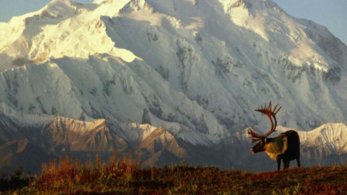 Feiern Sie Seward's Day in Alaska und ehren Sie die Unterzeichnung des Alaska Purchase-Vertrags am letzten Montag im März Feiern Sie Seward's Day in Alaska und ehren Sie die Unterzeichnung des Alaska Purchase-Vertrags am letzten Montag im März