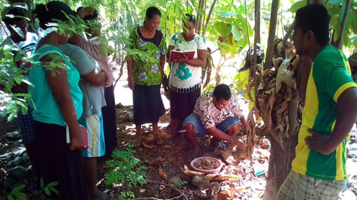 Feiern Sie den kiribatischen Gesundheitstag und entdecken Sie das Streben nach ganzheitlichem Wohlbefinden in Kiribati.