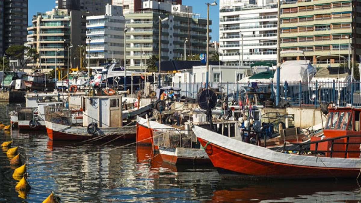 Uruguay feiert 197. Jahrestag der Landung der 33 Patrioten, die den Unabhängigkeitskampf gegen Brasilien auslösten.