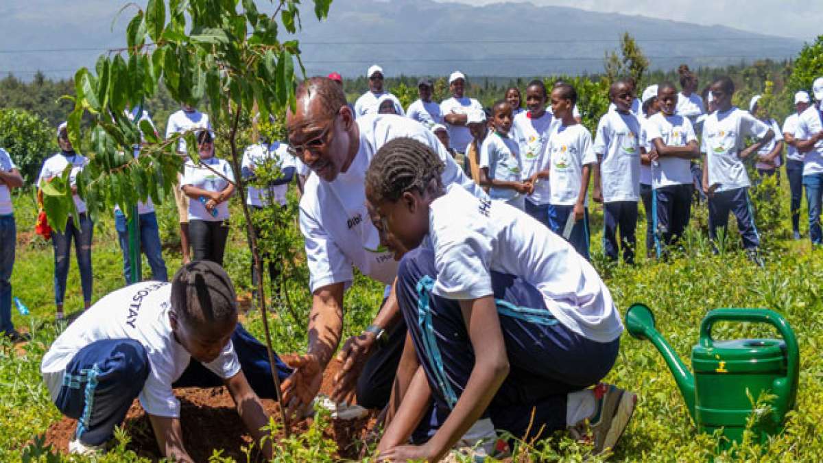 Feiern Sie den Nationalen Tag der Baumpflanzung in Kenia und schließen Sie sich der Mission