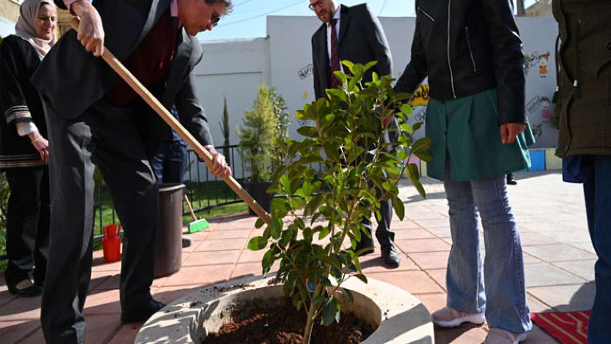 Der Tag des Baumes wird in Deutschland seit 1952 am 25. April begangen und geht auf die Initiative von Julius Sterling Morton im Jahr 1872 zurück, der sich für das Pflanzen von Bäumen und die Wiederaufforstung einsetzte.
