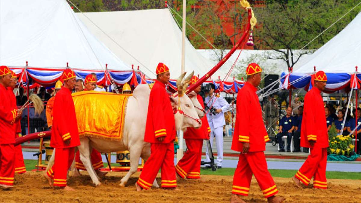 Erleben Sie den faszinierenden Tag der Landwirte in Thailand, an dem die Segnung der Bauern zelebriert wird. Erleben Sie den faszinierenden Tag der Landwirte in Thailand, an dem die Segnung der Bauern zelebriert wird.