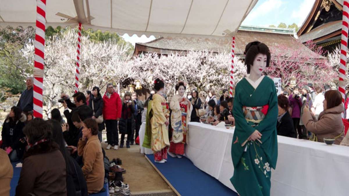 Erleben Sie das faszinierende Pflaumenblütenfest im Kitano Tenmangū-Schrein, Kyoto, Japan!
