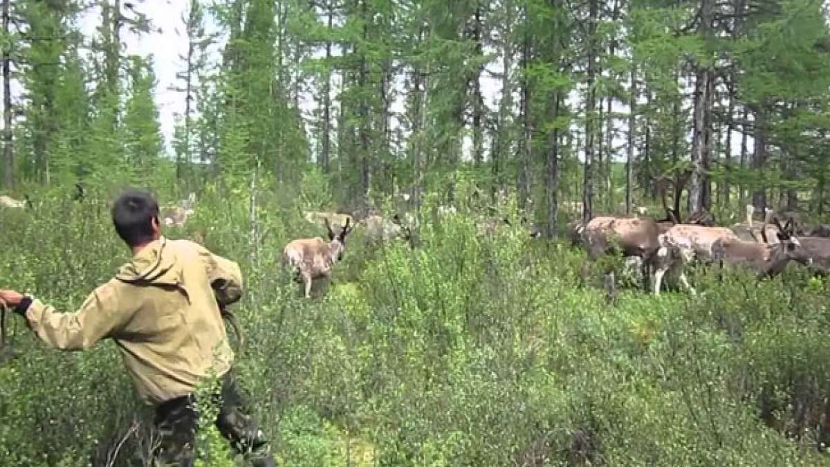 Der Evenki-Naturtag ist ein Fest für die Schönheit der Natur und die traditionelle Kultur der Evenki.