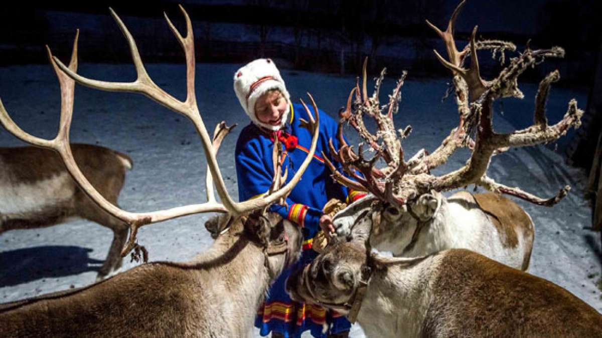 Rentierzüchter in Russland feiern am 2. August ihren Berufsfeiertag, um die traditionelle Lebensweise ihrer Vorfahren zu ehren.