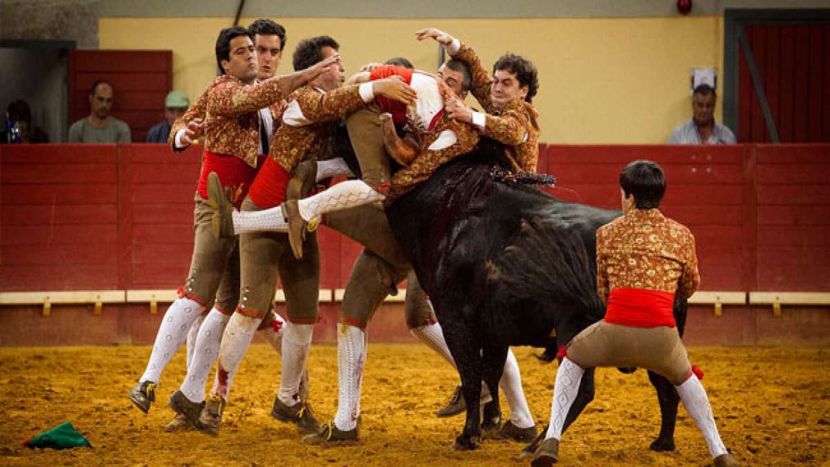 Erleben Sie die lebendige Tradition des portugiesischen Stierkampfes in Abiul, Portugal, anlässlich des Geburtstags dieses alten Brauchs am 14. August.