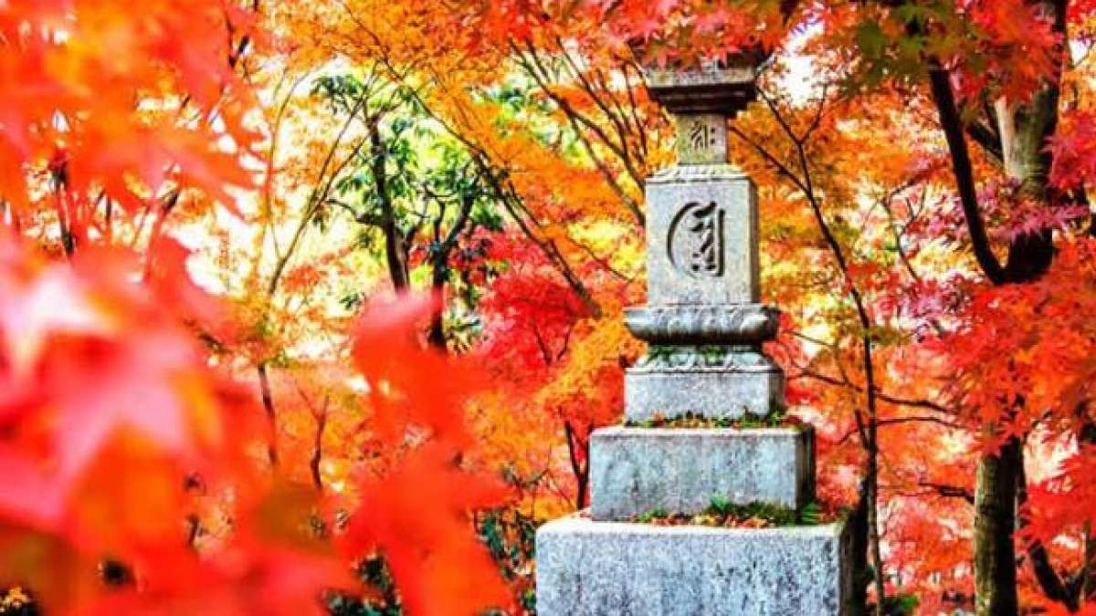Feiern Sie Shu-bun-no Hi in Japan: Eine Zeit der Reflexion und des Gedenkens an die Verstorbenen während der Herbst- und Frühjahrstagundnachtgleiche. Feiern Sie Shu-bun-no Hi in Japan: Eine Zeit der Reflexion und des Gedenkens an die Verstorbenen während der Herbst- und Frühjahrstagundnachtgleiche.