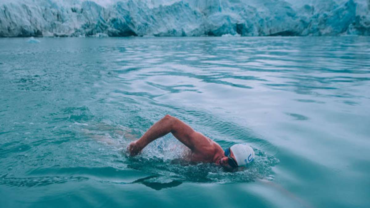 Feiern Sie den majestätischen Welt-Walross-Tag am 24. November und unterstützen Sie den Schutz dieser beeindruckenden arktischen Kreaturen.