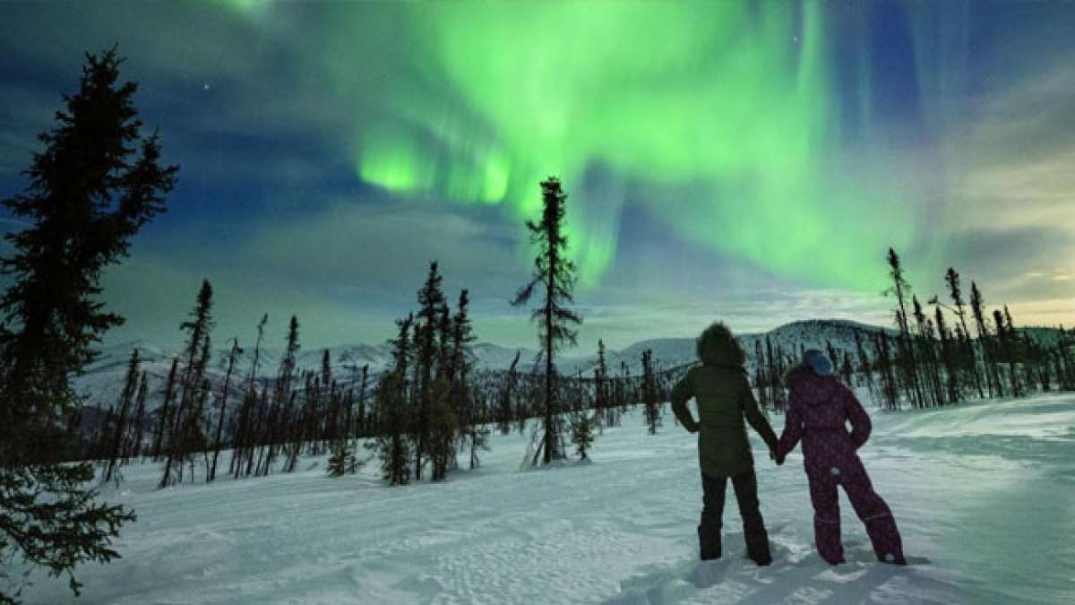 Entdecken Sie Alaska, das Land der Extreme und unberührten Schönheit.