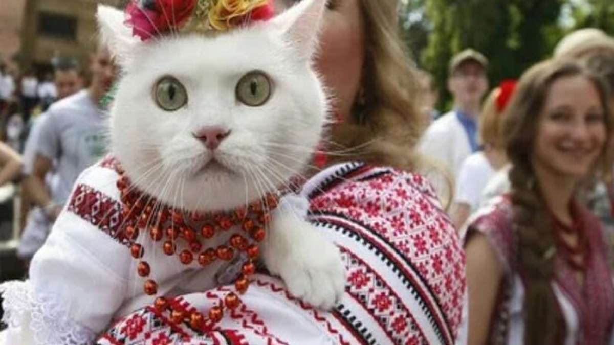 Tauchen Sie ein in die faszinierende Welt der Stickkunst und entdecken Sie die Schönheit und Symbolik der ukrainischen Vyshyvanka auf dem Weltstickerei-Tag.