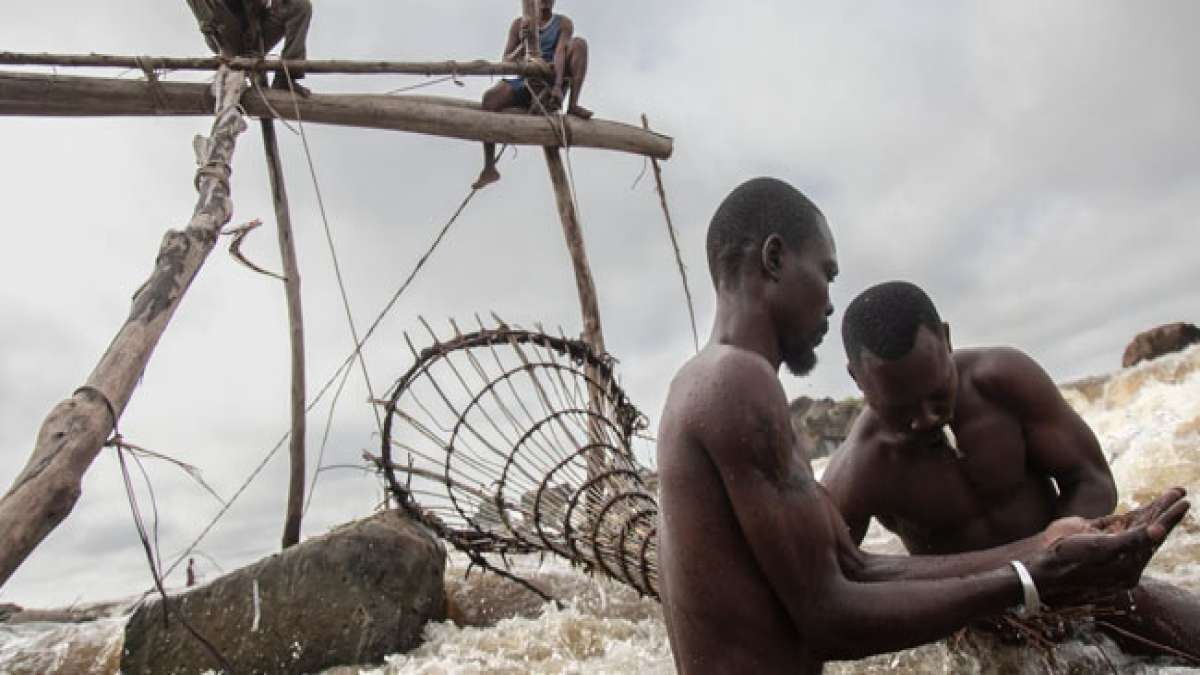 DR Kongo: Tag der Fische - Ein Fest des Reichtums der Natur in einem Land der Armut