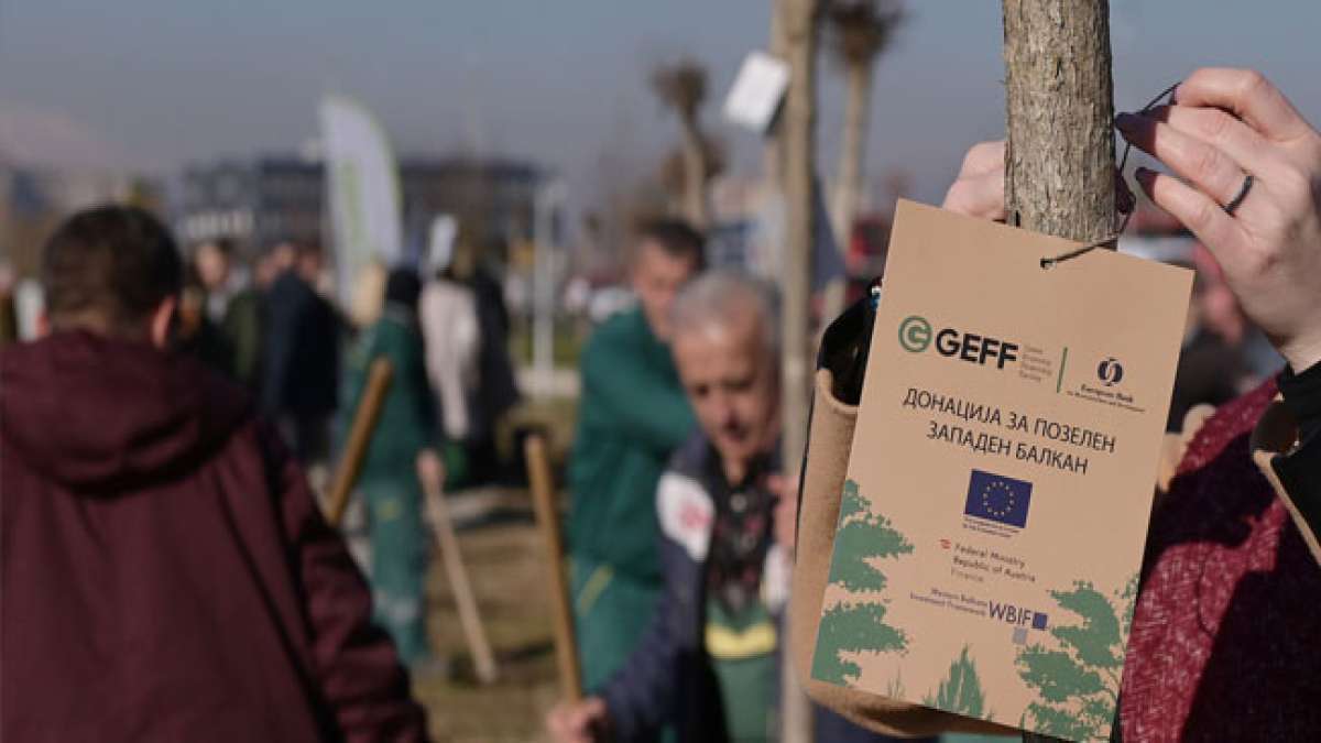 Feiere mit uns den Tag des Baumes in Mazedonien!