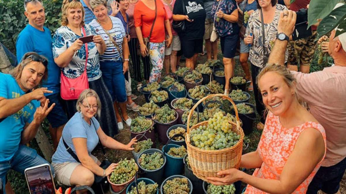 Tauchen Sie ein in die uralte Tradition der Weinlese bei Rtveli in Georgien, einem Fest, das die Ernte von Trauben und die reiche Geschichte des Weinbaus feiert.
