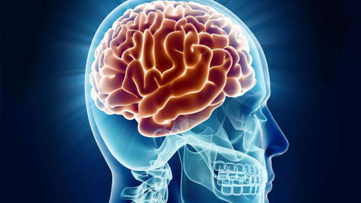 Erfahren Sie faszinierende Fakten über das erstaunliche menschliche Gehirn am Welttag des Gehirns.