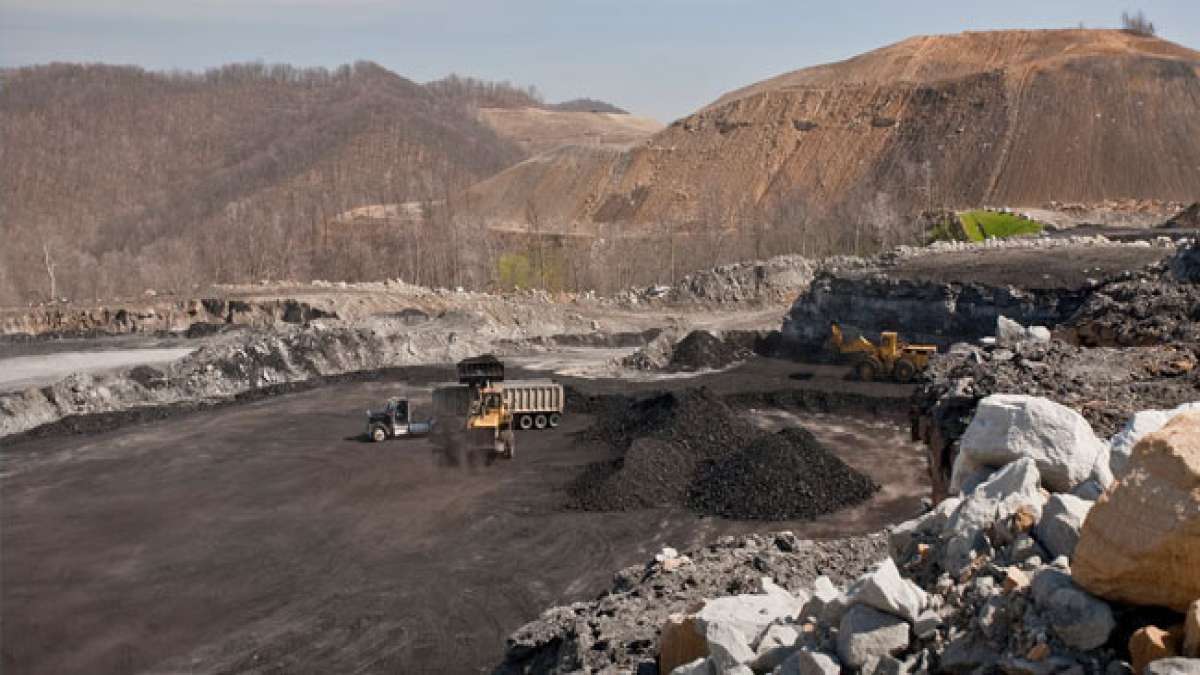 Tauchen Sie ein in die faszinierende Welt der Paläontologie am Nationalen Fossilientag in den USA.