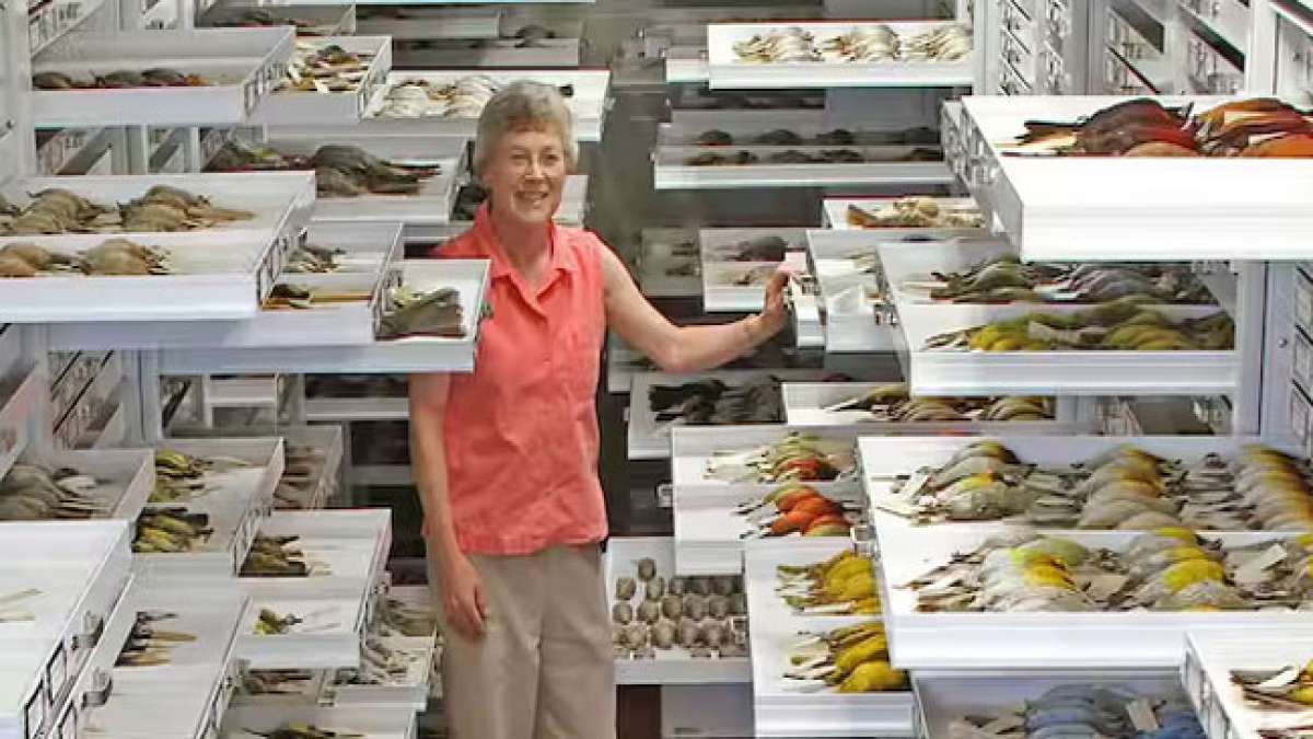 Taxonomischer Anerkennungstag: Ein Tag, um die Menschen zu feiern, die die Welt ordnen.