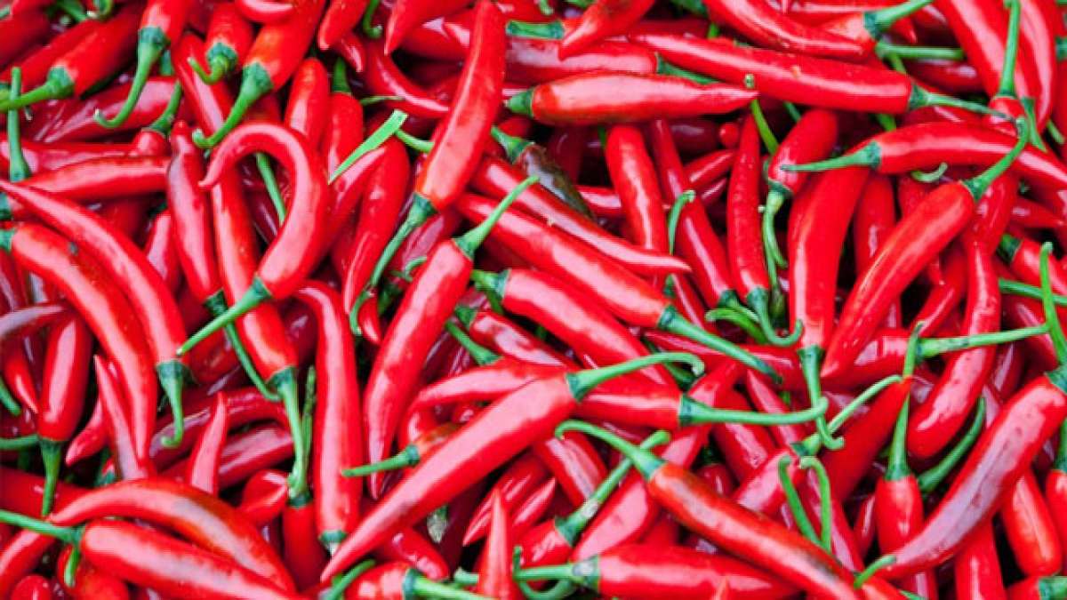 Feiern Sie den Nationalen Chili-Tag in den USA und entdecken Sie die erstaunlichen gesundheitlichen Vorteile von Chilischoten, die mehr Vitamin C bieten als Orangen.