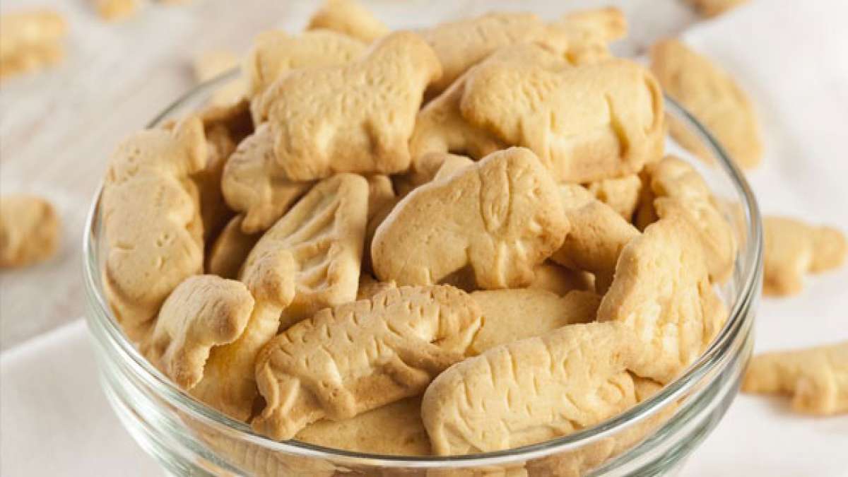 Tier-Cracker: Die süßen Köstlichkeiten, die jedes Kinderherz höherschlagen lassen Tier-Cracker: Die süßen Köstlichkeiten, die jedes Kinderherz höherschlagen lassen
