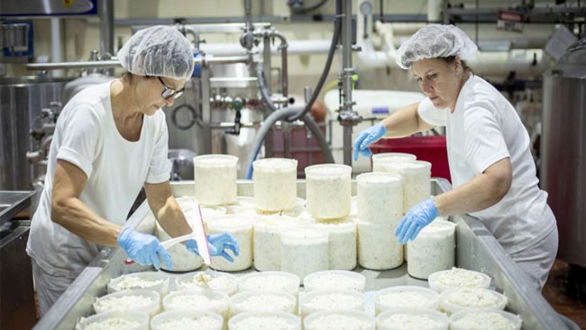 Entdecken Sie die reiche Geschichte und Vielfalt von Käse in den USA am Nationalen Tag der Käser. Entdecken Sie die reiche Geschichte und Vielfalt von Käse in den USA am Nationalen Tag der Käser.