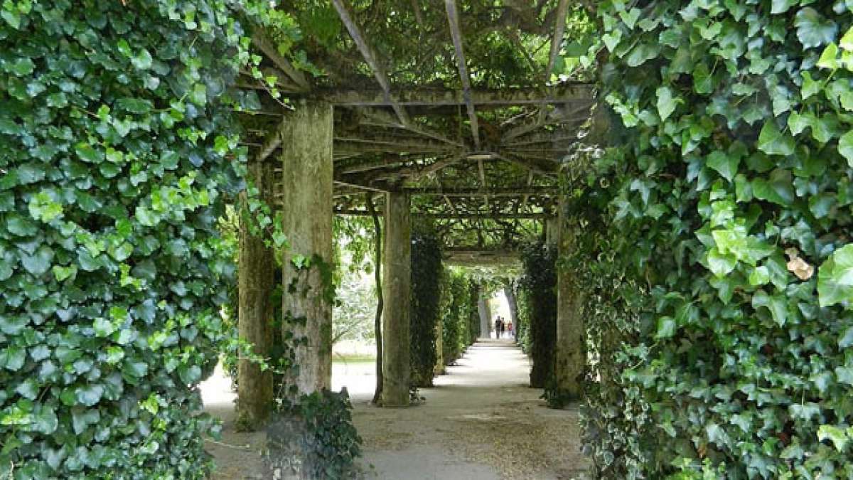 Feiern Sie den Tag des Baumes in Portugal mit weltweiten Baumpflanzungen und Aufforstungsaktionen.
