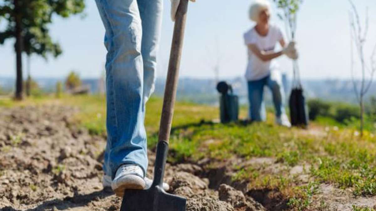 Entdecken Sie das Ministerium für Umwelt und natürliche Ressourcen in Aserbaidschan.