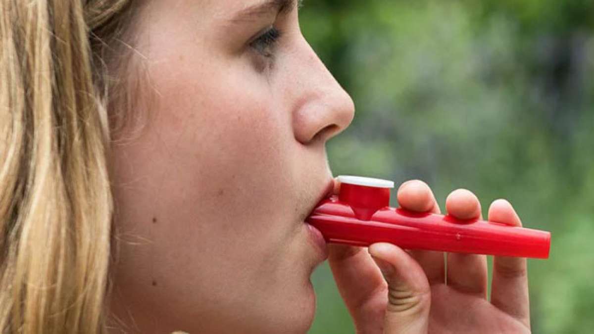 Entdecken Sie die faszinierende Geschichte des Kazoos, eines Instruments mit afrikanischen Wurzeln, das von Alabama Vest und dem deutschen Uhrmacher Thaddeus Von Clegg in den 1840er Jahren perfektioniert wurde.