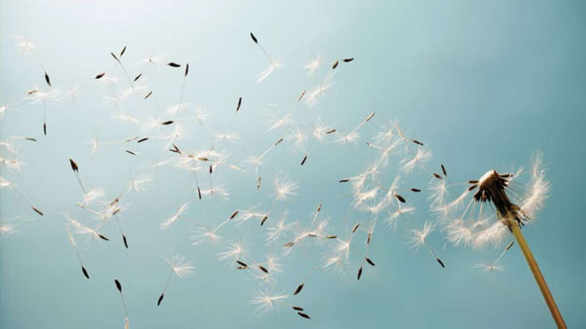 Tag des großen Windes: Feiern Sie die Kraft und Schönheit des Windes