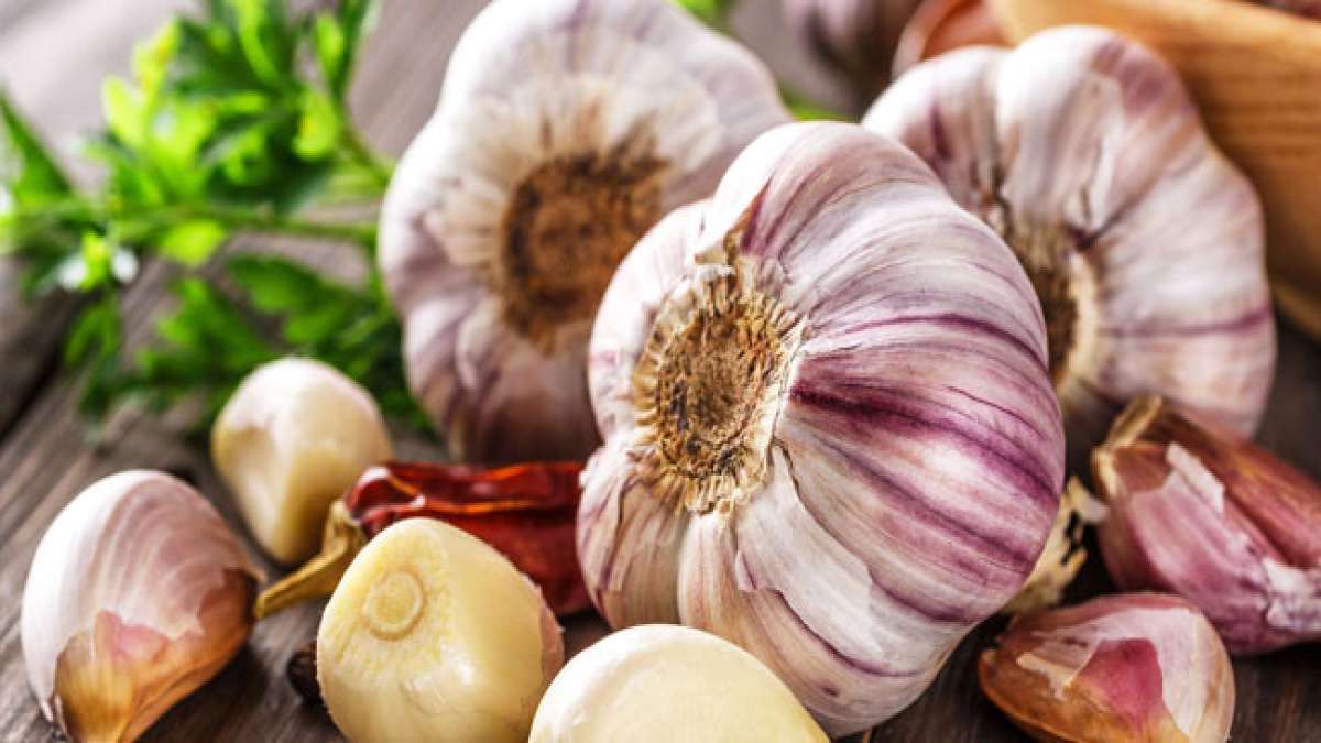 Feiern Sie den Tag des Knoblauchs und entdecken Sie die vielfältige Welt dieses gesunden Gewürzes. Feiern Sie den Tag des Knoblauchs und entdecken Sie die vielfältige Welt dieses gesunden Gewürzes.