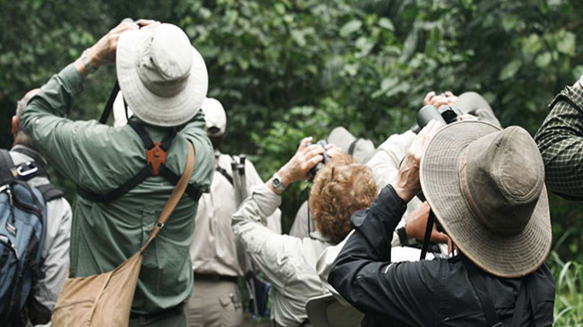 Feiern Sie mit Familie und Freunden, indem Sie Vogelfutterhäuschen aufhängen, Vögel fotografieren und die Natur in Ihrem örtlichen Naturschutzgebiet genießen. Feiern Sie mit Familie und Freunden, indem Sie Vogelfutterhäuschen aufhängen, Vögel fotografieren und die Natur in Ihrem örtlichen Naturschutzgebiet genießen.
