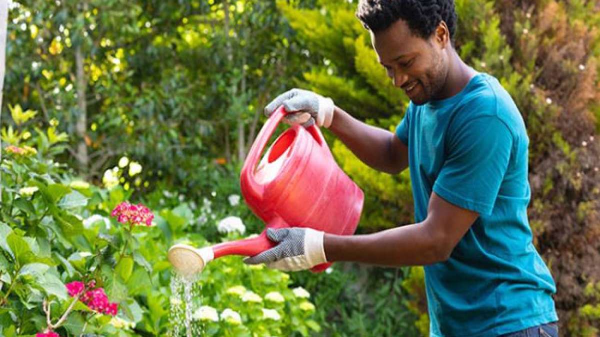 Erleben Sie die Freude der Gartenarbeit und entdecken Sie die vielfältigen gesundheitlichen Vorteile dieses Hobbys. Erleben Sie die Freude der Gartenarbeit und entdecken Sie die vielfältigen gesundheitlichen Vorteile dieses Hobbys.