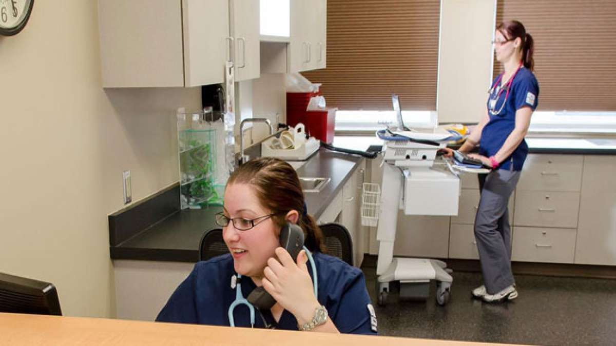 Feiern Sie die Gesundheitsabteilungskoordinatoren in den USA und schätzen Sie ihre entscheidende Rolle in der medizinischen Versorgung. Feiern Sie die Gesundheitsabteilungskoordinatoren in den USA und schätzen Sie ihre entscheidende Rolle in der medizinischen Versorgung.