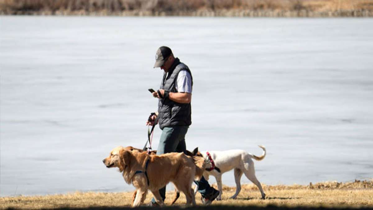 Gönnen Sie sich und Ihrem pelzigen Freund an diesem besonderen Tag eine gemeinsame Auszeit im Freien.