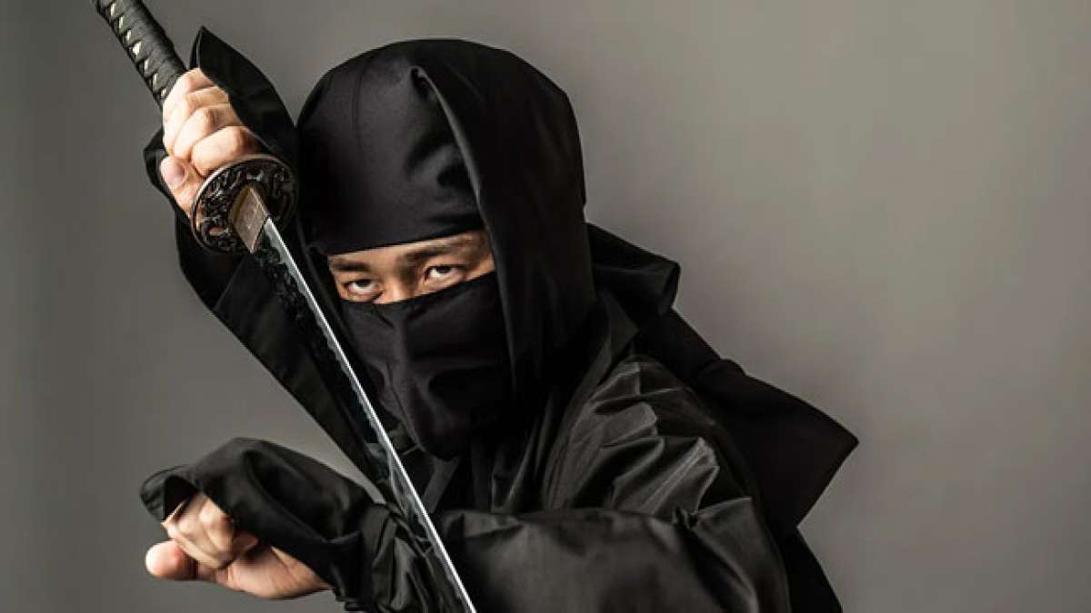 Machen Sie sich bereit, Ihre inneren Ninja-Fertigkeiten zu enthüllen und diesen einzigartigen internationalen Feiertag zu ehren!