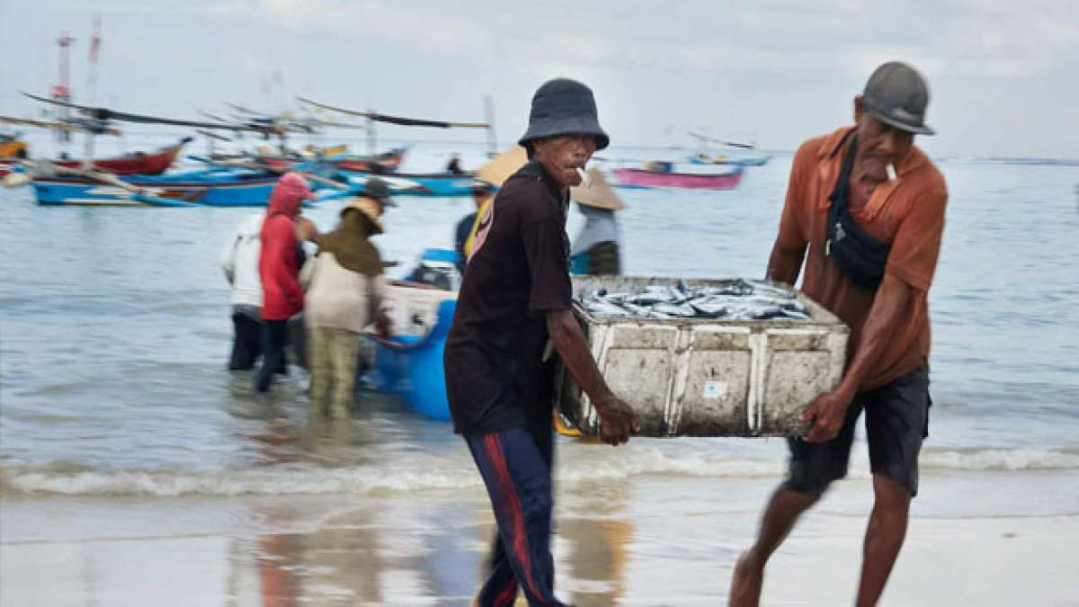 Feiere den Tag des Fischers in Indonesien: Ein Meeresparadies! Feiere den Tag des Fischers in Indonesien: Ein Meeresparadies!