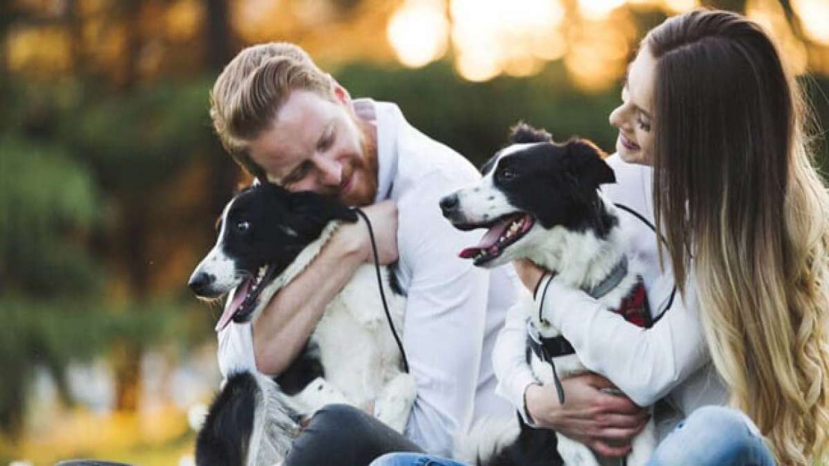 Haustiertag: Ein Tag, um die Liebe zu unseren tierischen Freunden zu feiern.