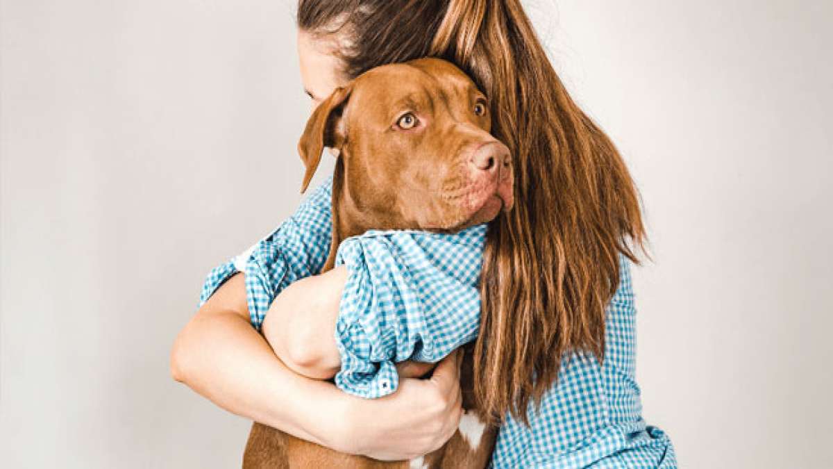 Ehren Sie Ihren treuen Jagdhund am Umarmen Sie Ihren Jagdhund-Tag.