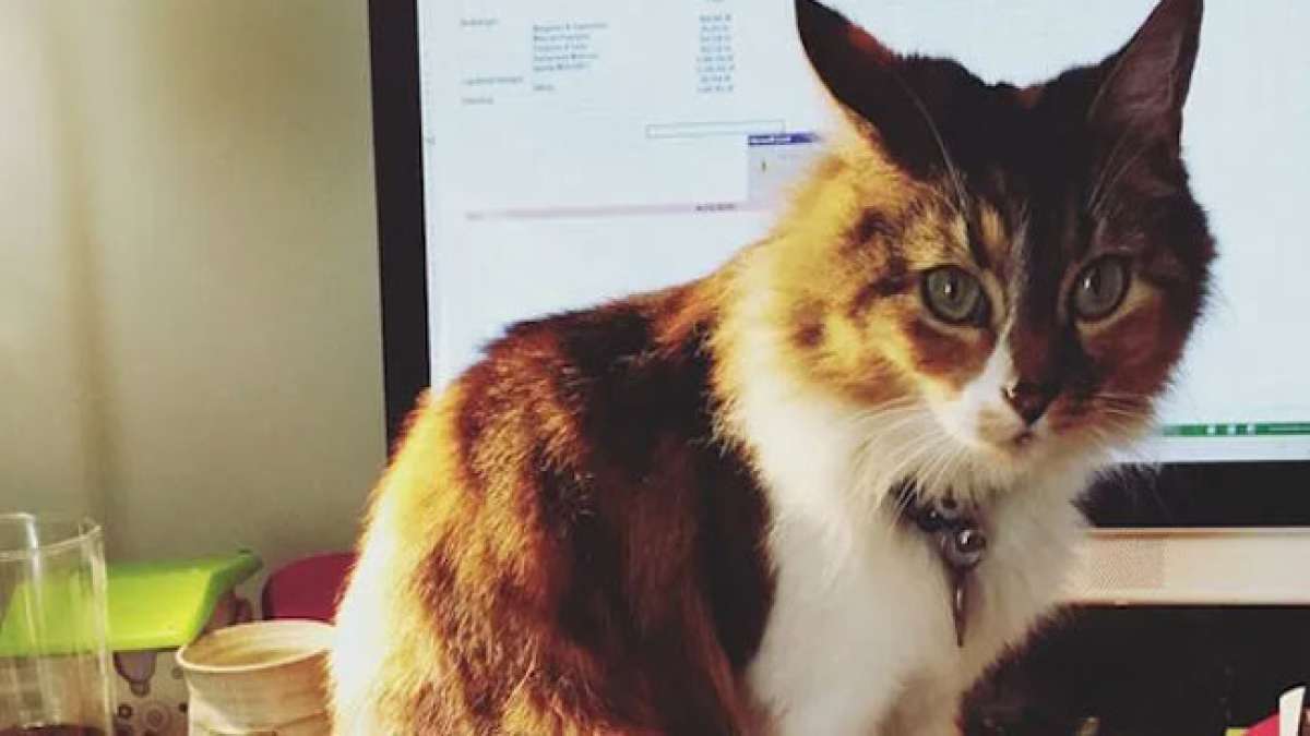 Zero-Tasking-Day: Ein Tag, um die Seele baumeln zu lassen.